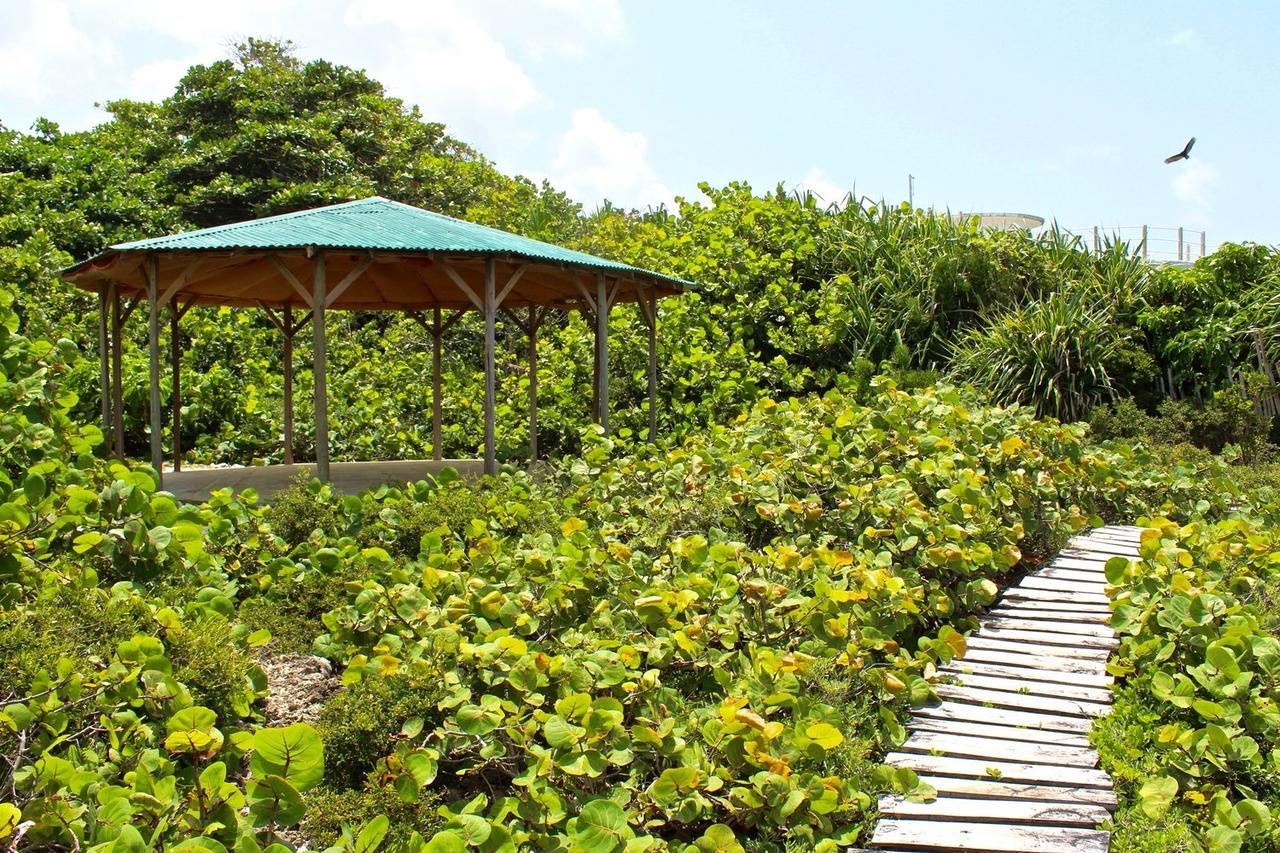 Hotel Great Huts Port Antonio Exterior foto